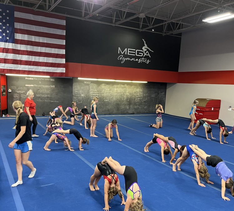 Midwest Elite Gymnastic Academy (North&nbspPlatte,&nbspNE)